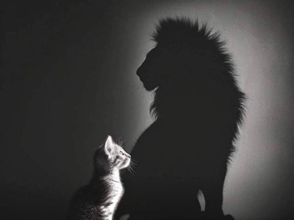 Bien-être et performance au travail : à quelles conditions&nbsp;?